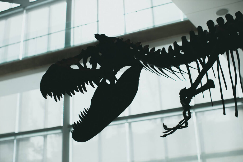 Silhouette of a fossilized Tyrannosaurus Rex or similar dinosaur.